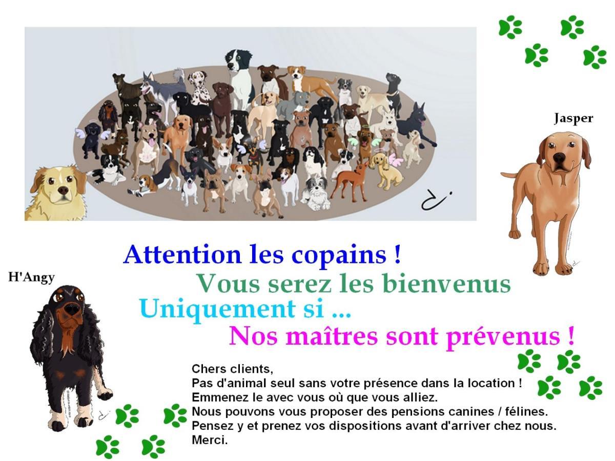 Chambre D'Hotes Le Gachignard Courlay 外观 照片